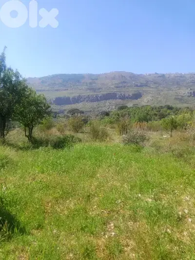 ارض مع بيت للبيع في الرملية عاليهland for sale in ramlye aley