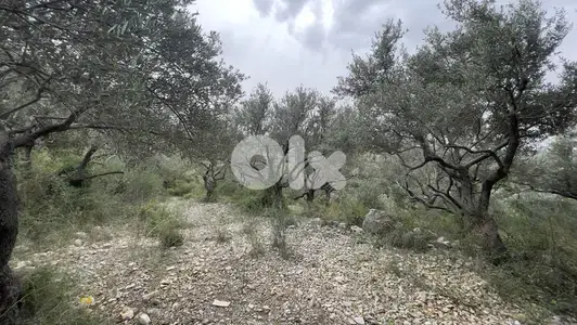 RWB243CA - Land for sale in Barbara Jbeil