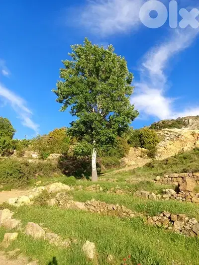 أرض للبيع في عين زحلتا الشوفland for sale in ain zahlta al shouf
