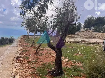 1407m2 Land+Open Mountain/Sea view for Sale in Ras Osta - رأس أسطا