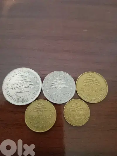1 lira 50 lira 25 lira 10 lira 5 lira