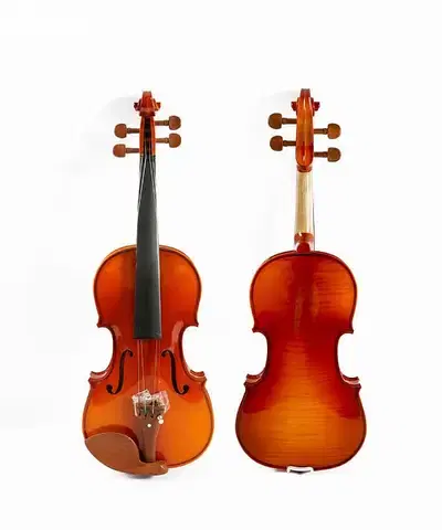 Starway premium quality professionel violin . WAPP: 81872431