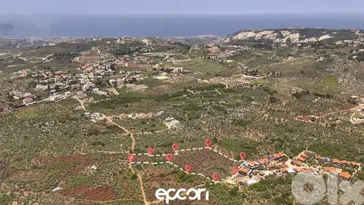 For Sale: Massive Olive Plot in Aafsdiq- Road Access,Electricity,water