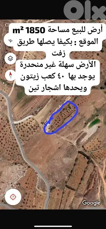 أرض للبيع في راشيا الوادي بكيفاland for sale in rashaya beqaa