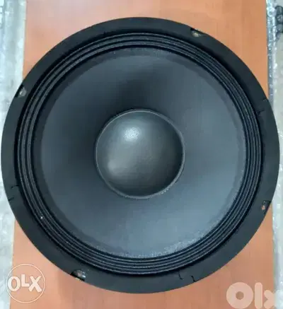 woofer 10 inch 300w 8 ohm