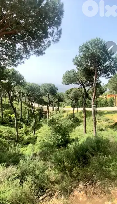 Land for sale in Naas/ Daher El Sewan