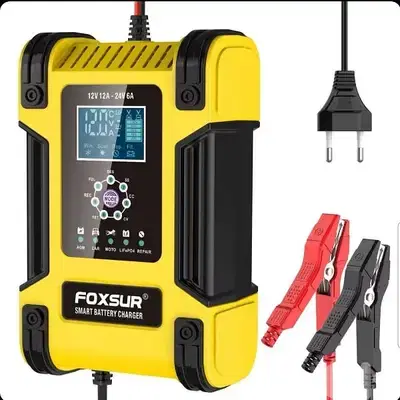 Foxsur Automatic Battery Charger 12V 12A 24V 6A