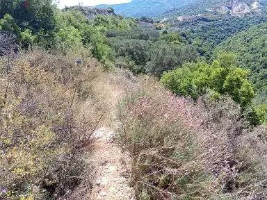 5464 m2 land+open mountain/sea view for sale in Batroun - البترون