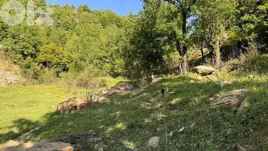 RWK405GZ - Land For Sale In Kfardebian - أرض للبيع في كفردبيان