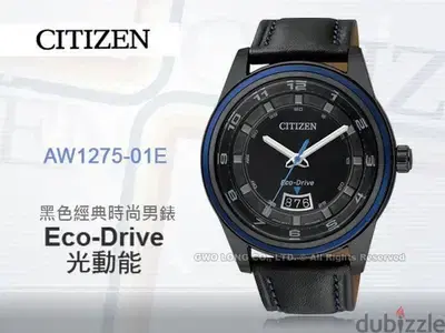 Citizen Watch Eco Drive (Work on Light)