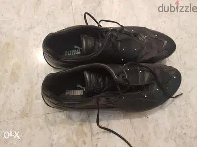 Puma shoes (Authentic brand)
