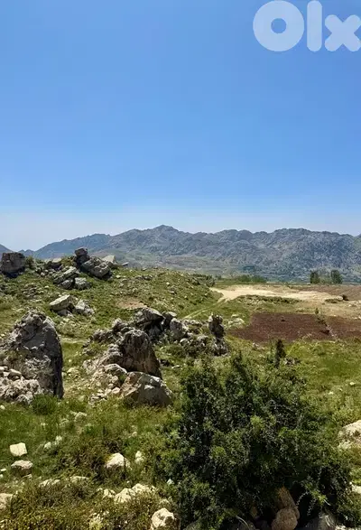 Lands For Sale In Laklouk أراضي للبيع في اللقلوق