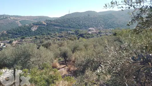 Land for sale in Aabeidat
