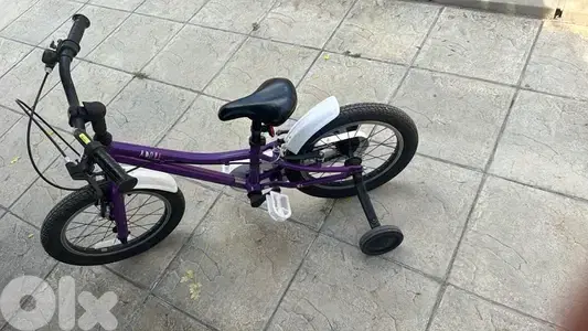 Giant bike 12 inch