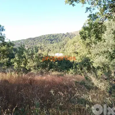 Land For sale in Baskinta - CPKMF52