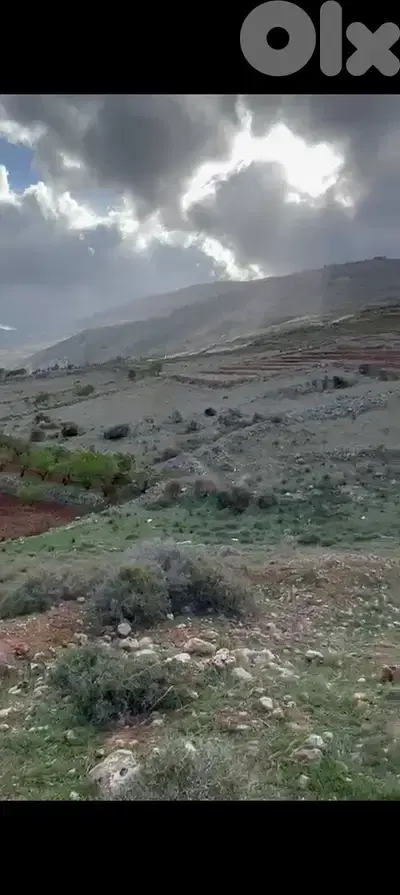 zahle twaite land 1200 sqm for sale #6635