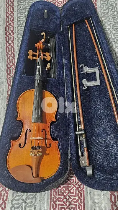 violin