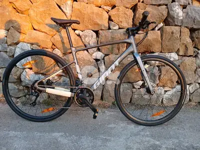Giant FastRoad 2
