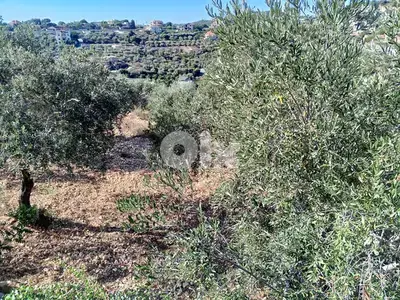 2056m2 Land+mountain view 4 sale in Batroun - أرض للبيع في البترون