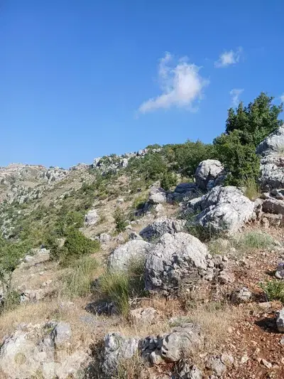 أرض للبيع في بتغرين / طريق زعرور Land for sale in Bteghrine