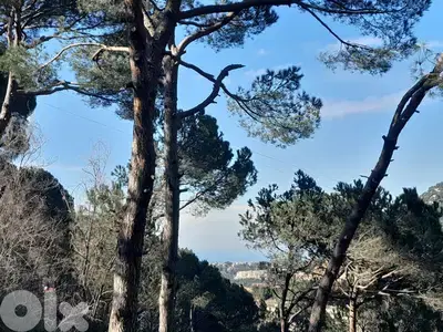 800 SQM Land in Mar Chaaya, Metn overlooking the Mountains & the Ocean