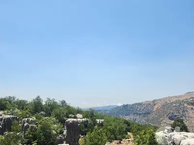 500 SQM Land in Tarchich overlooking the Ocean and the Mountains