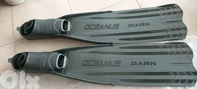 350$ full equipment freedive