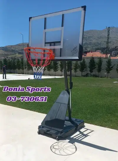 only 230$ movable basketball hoop