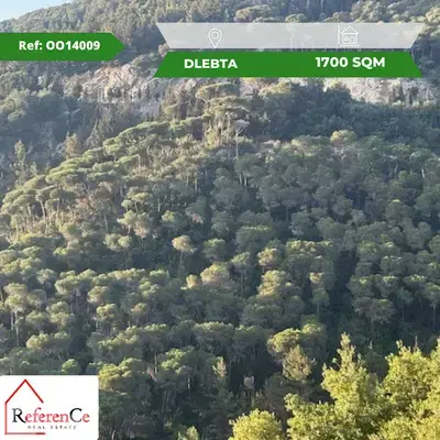 Undermarket price lands in Delbta أرض للبيع في دلبتا