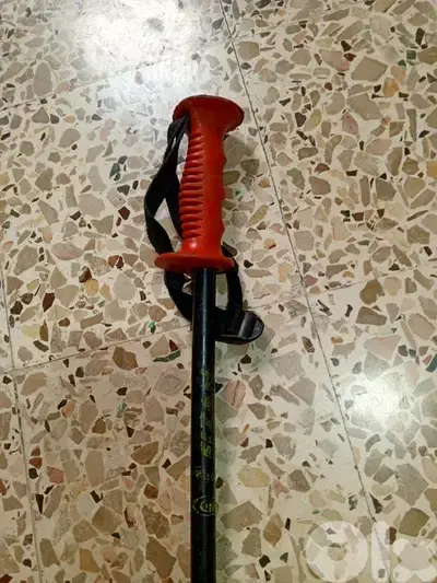 ski poles