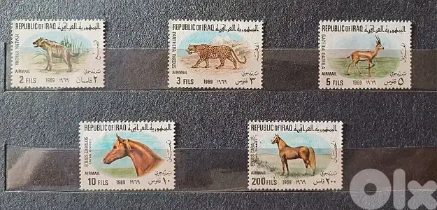 سات عراقي