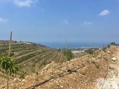 RWB173PK - Land for sale in Edde Jbeil