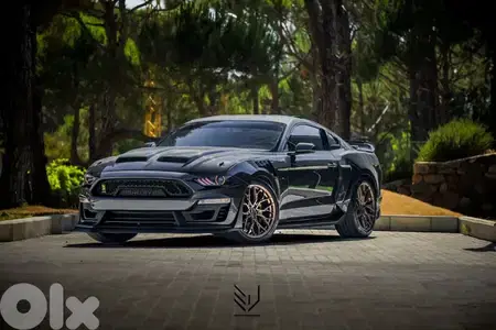 2018 ford mustang 5.0 GT Gen3 performance pack 10 speed (supersnake)