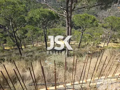 L18758-850 SQM Land For Sale in Choueir