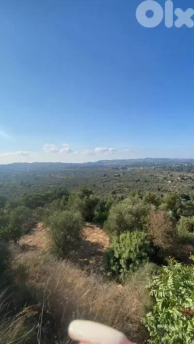 Land for sale in Amioun - أرض للبيع في أميون