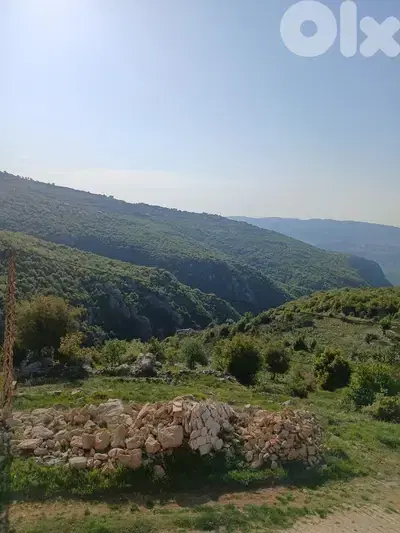 أرض للبيع في كفرسلوان Land sale in Kfarselwan من ترشيش أو طريق المتين أرض للبيع في كفرسلوان Land sale in Kfarselwan من ترشيش أو طريق المتين