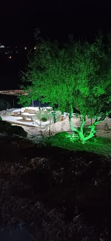 الباروك الشوف