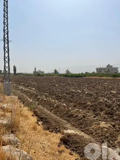 maalaka land 1309 sqm for sale #6700