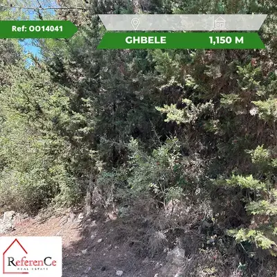Land in Ghbeleh for sale أرض للبيع في غبالة