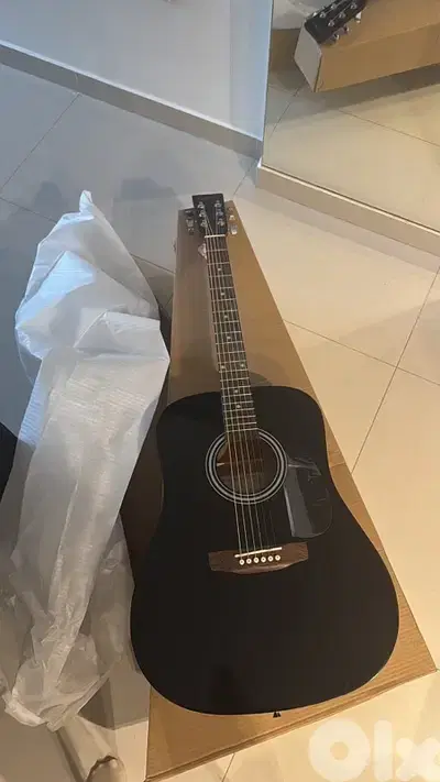 acoustic guitar