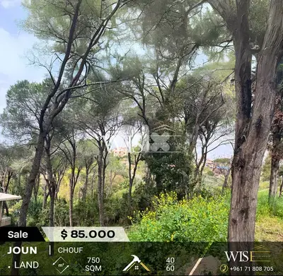 750 SQM Land for SALE in Joun – Chouf!