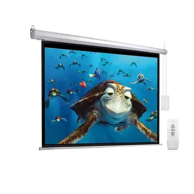 PROJECTOR SCREEN BW18-E300