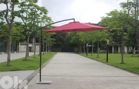banana umbrella
