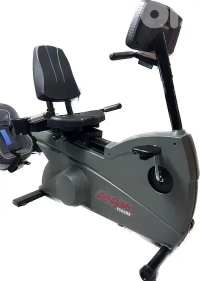 lazy bike life fitness like new