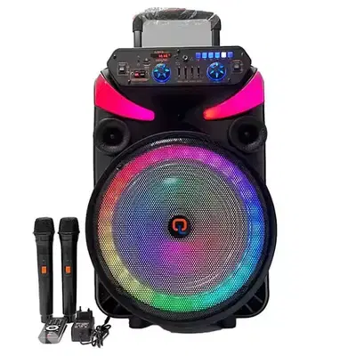 KARAOKE SPEAKER 1X15" - 1502 - وايرلس سبيكر