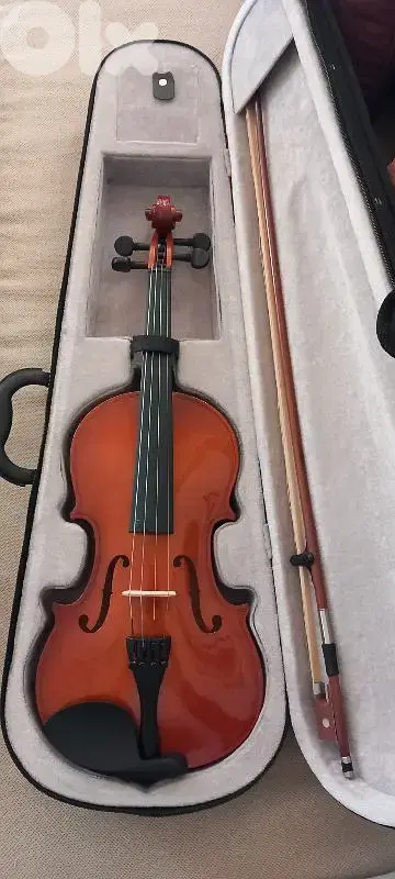 Violon 4/4 - Used in a very good condition