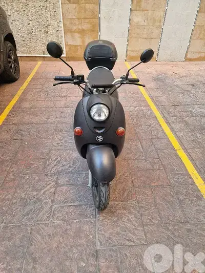 Tree  City Electric Bike