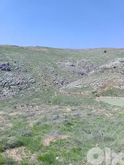 أرض للبيع في عين داره عاليه land for sale in ajn Dara aley