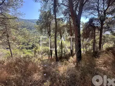 2 Lands for Sale in Qennabet Baabdate | أرض للبيع في قنابة بعبدات