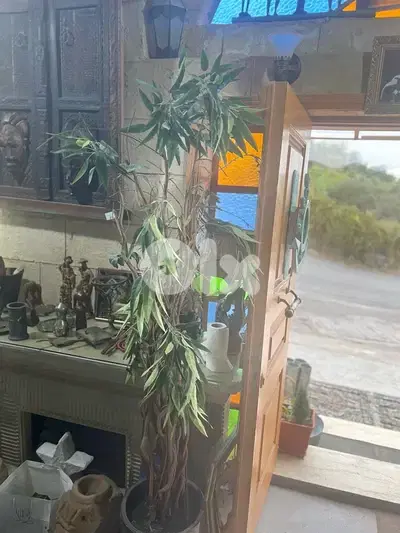 artificial tree